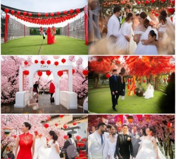 东西合璧，跨文化婚礼中的习俗碰撞与和谐融合